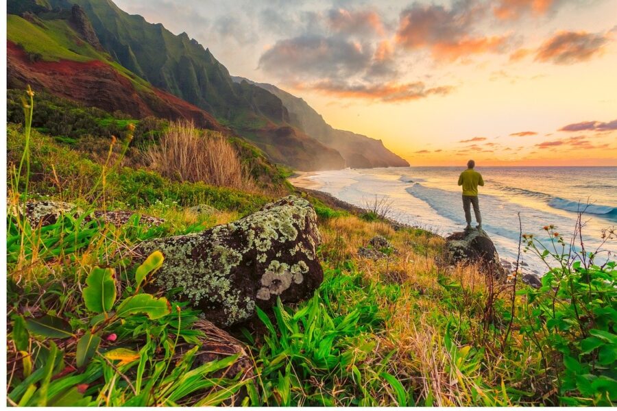 View from working at home in Hawaii