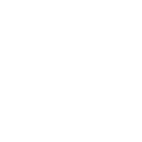ESI Icon Services Technical Consulting