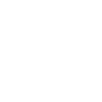 ESI Icon Services Tech Editing