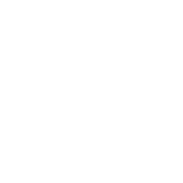 ESI Icon Services Technology Marketing