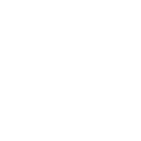 ESI Icon Services Tech Writer