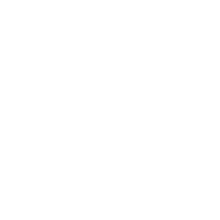 ESI Icon Services Training