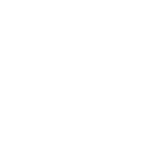 ESI Icon Services UX